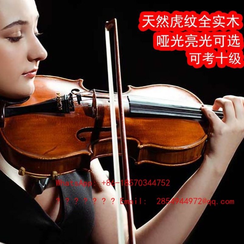 Musical Instrument Net - Professionelle Spielklasse Violine Musikinstrument Vollholz Handgefertigte