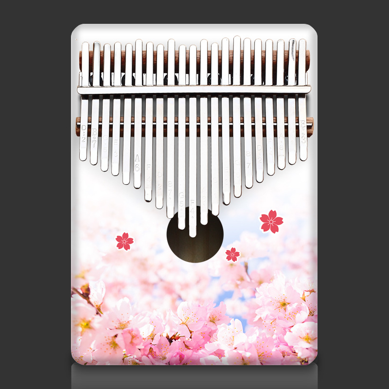 Bunte 21 Schlüssel Kalimba Kin – Musical Instrument Kids Bewertung und Preis