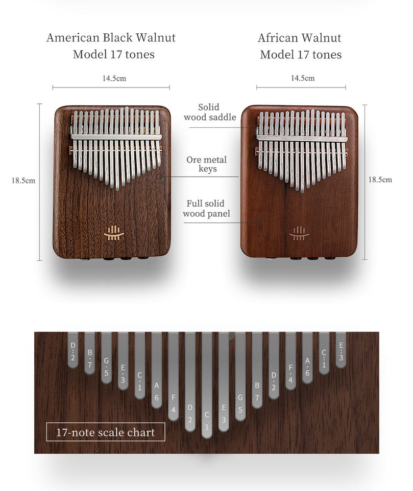 A-17 Amerikanisches Schwarznus – Musical Instrument Drum Bewertung und Preis