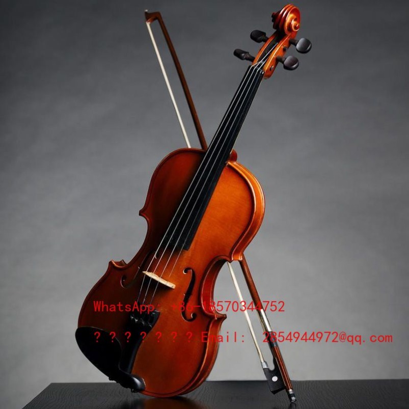 Professionelle Spielklasse Vio – Musical Instrument Net Bewertung und Preis