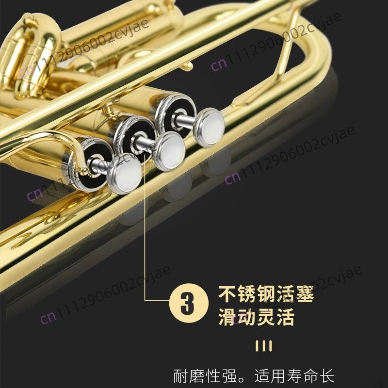 Geeignet für Jinbao Trompeteni – Musical Instrument Drum Bewertung und Preis