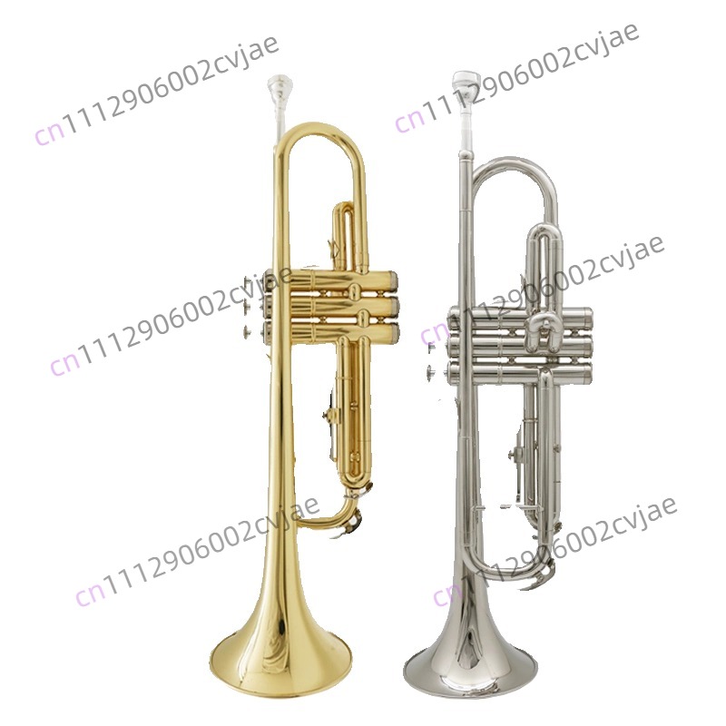 Geeignet für Jinbao Trompeteni – Musical Instrument Drum Bewertung und Preis