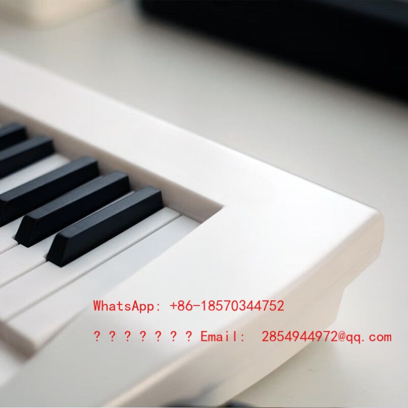 Elektronisches Musikinstrument – Musical Instrument Net Bewertung und Preis